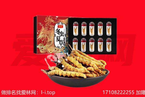 西市区回收虫草.jpg